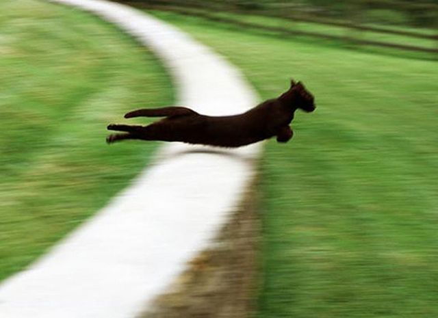 38 imagens divertidas, inusitadas, bizarras, incomuns e loucas