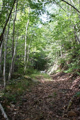 [DSC08248[2].jpg]