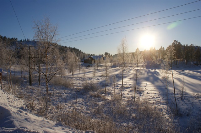 [DSC00501[2].jpg]