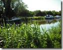 DSCF0869