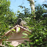 House Stuff 018.jpg