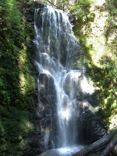 Berry Creek Falls Close-up
