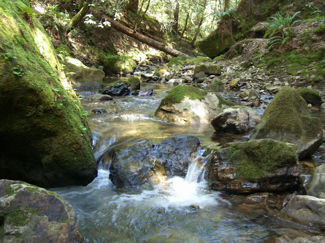 Small cascade