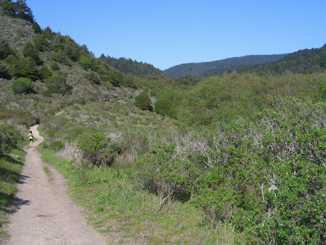 Looking back to forested Bear Valley from Arch Rock