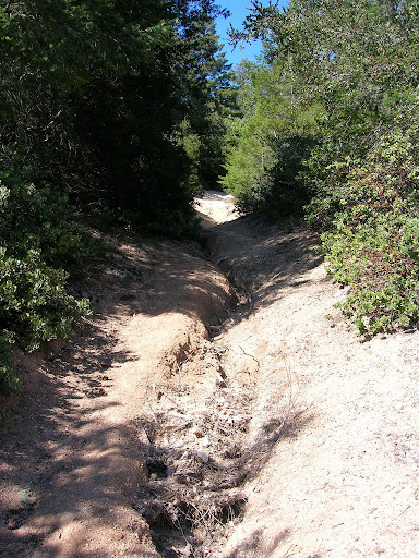 Steep and eroded with not a switchback in sight!