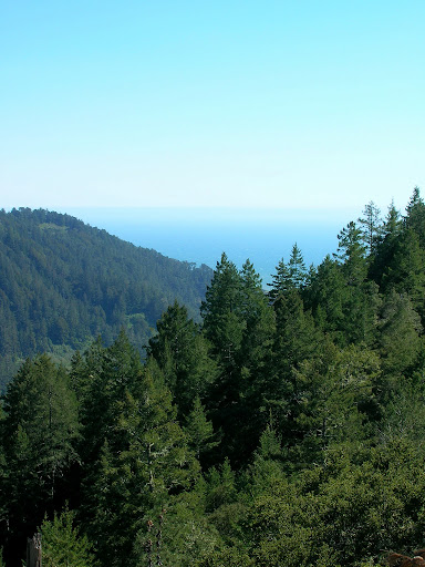 Ocean views from the Westridge trail
