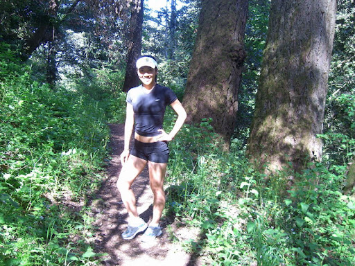 Lush forest on the Lost Trail