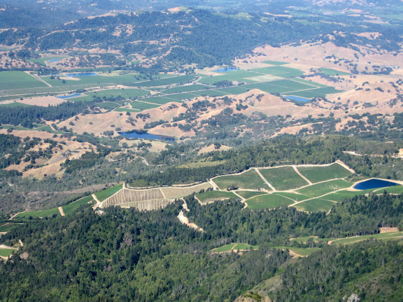 View down to the vineyards!