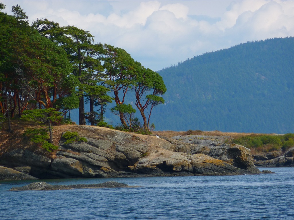 [P1000324[2].jpg]
