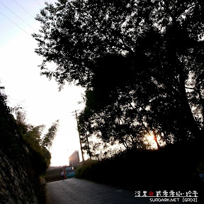 那路，那光