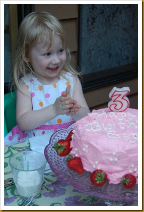 Sophia's Birthday2 039