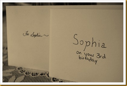 Sophia's Birthday 2010 101