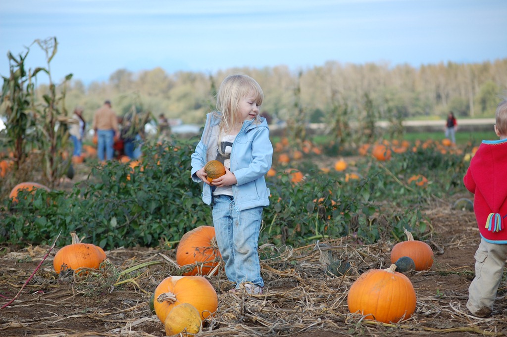 [Fall 2010 654[4].jpg]