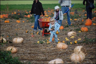 Fall 2010 650