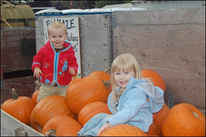 Fall 2010 533