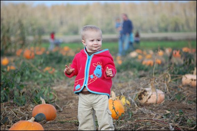 Fall 2010 660