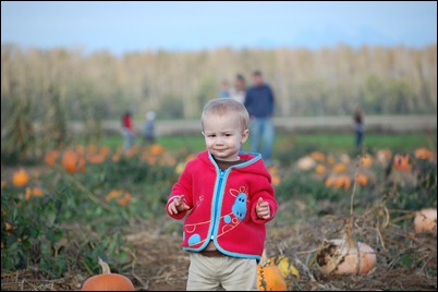 Fall 2010 661