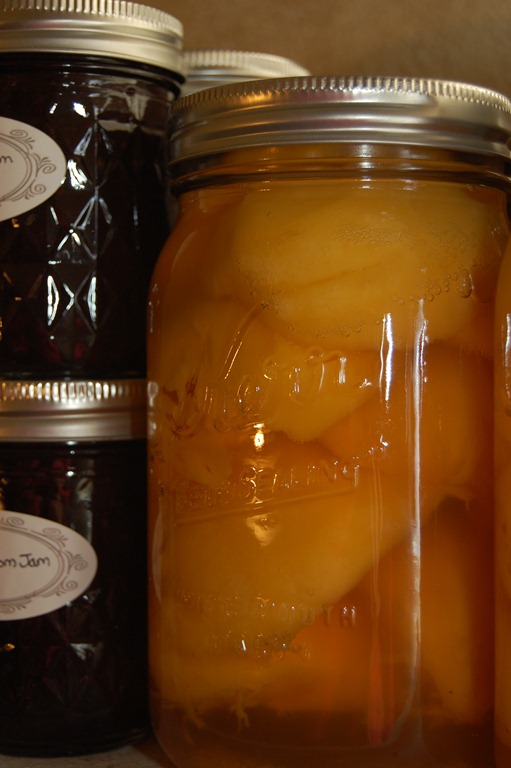 [Summer Picking 2010 383[4].jpg]