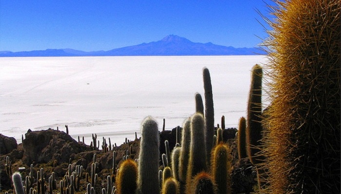 uyuni4 uyuni4