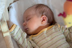 Asleep in her bassinet. Not much else to say here.