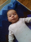 Audrey resting on a blanket.