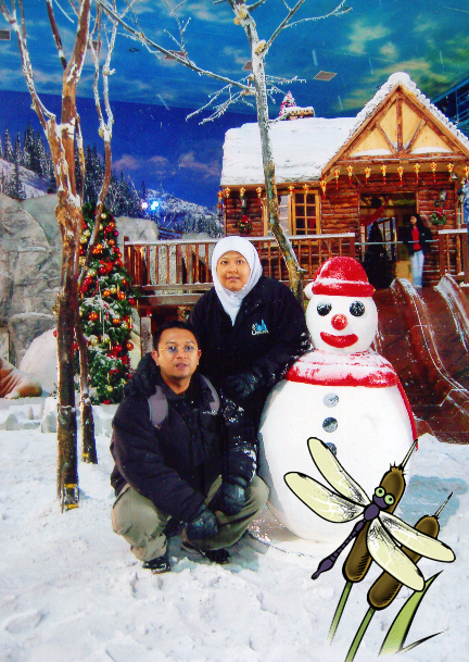 snow image