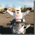 Easter Egg Run 2009 - Album 5