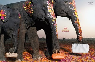 [Hermes 2008 elephants[3].jpg]