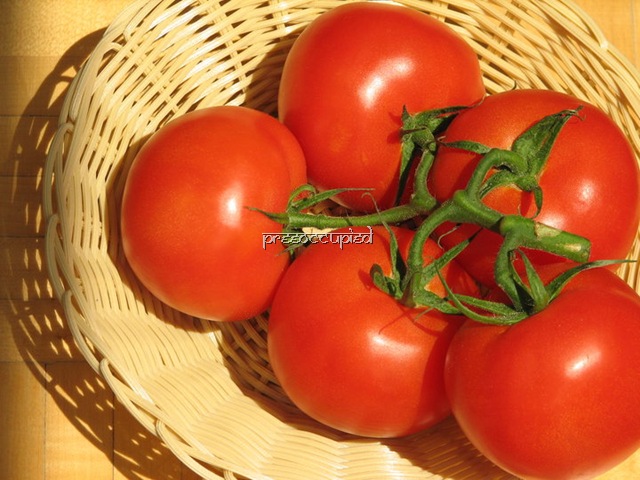 [tomatoes Pree1[10].jpg]