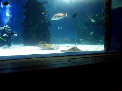 [Picture 033[3].jpg]