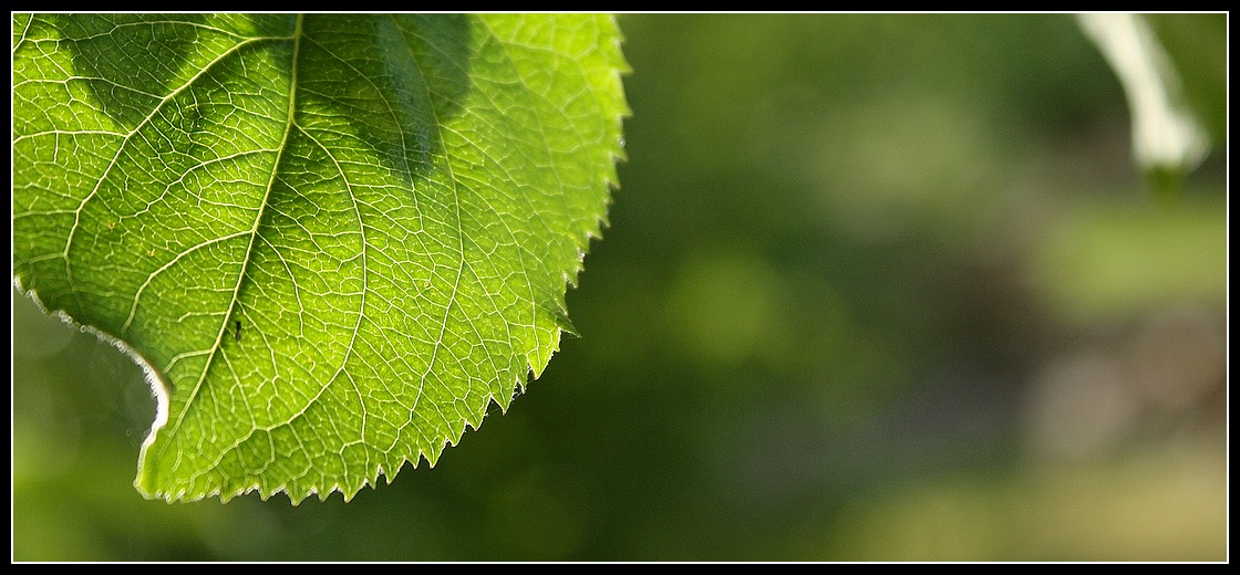 [IMG_0941.JPG]