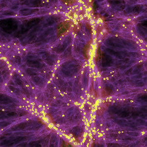 Uni versal love