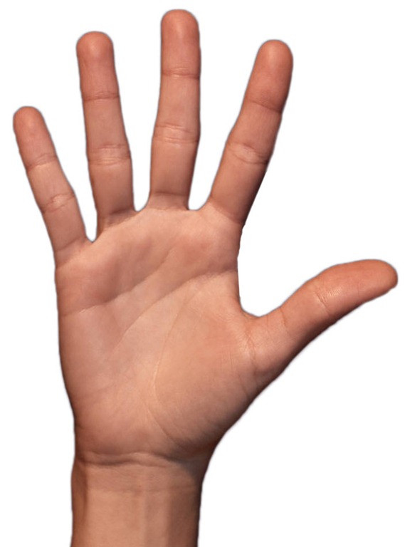 [high-five[3].jpg]