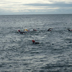 P7250040.JPG