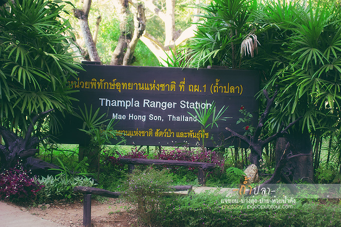 IMGP7298_s.jpg