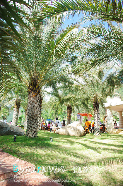IMGP8440_s.jpg