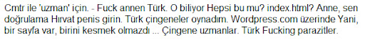 Turski cigani