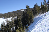 DSC03929.JPG