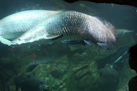 IMG_5489.JPG
