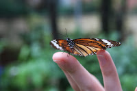 IMG_4942.JPG