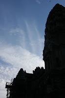IMG_4303.JPG