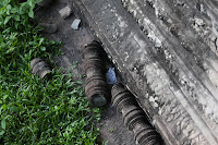 IMG_4338.JPG