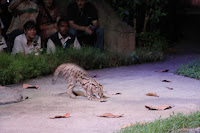 IMG_6219.JPG