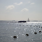 DSC00662.JPG