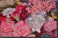 DSC_1274 DSC_1274