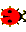 ladybug