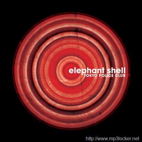 [Elephant_shell[2].jpg]
