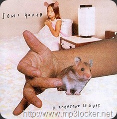 SonicYouthAThousandLeavesalbumcover