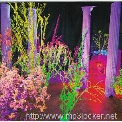 [51TP8X3A7ML._SL500_AA240_2.jpg]