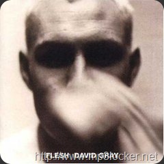 Flesh_David_Gray
